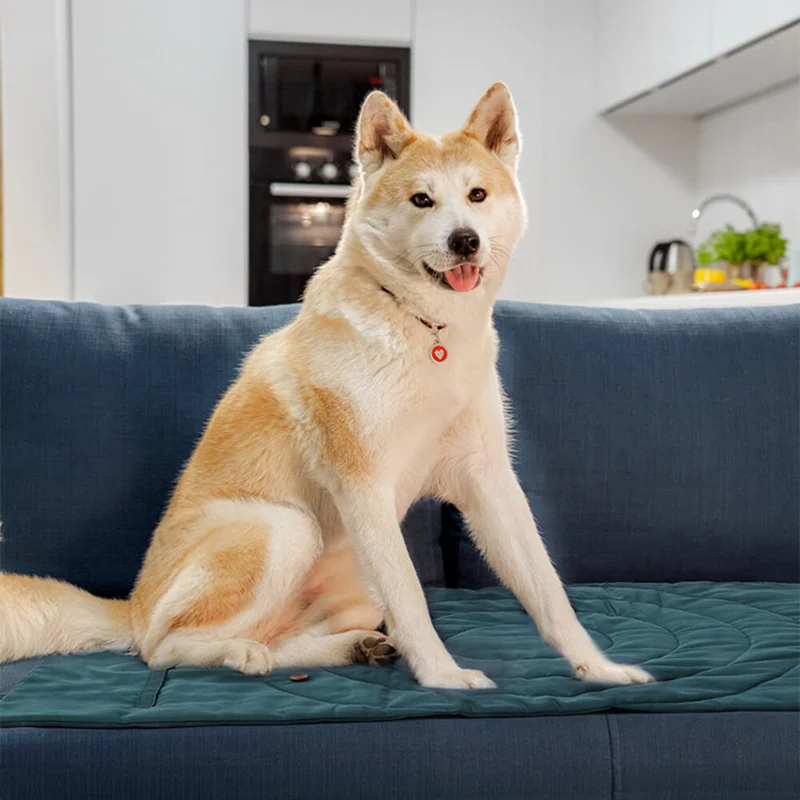 Skanto | Faltbare wasserdichte tragbare Hundeautositzmatte Hundecampingmatte