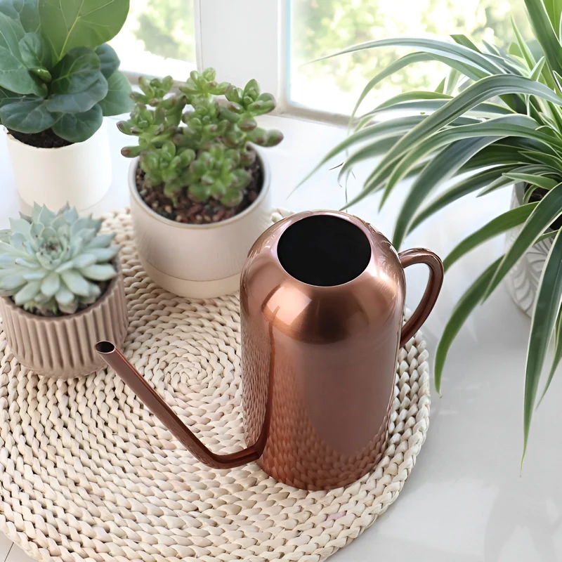 Skanto | Edelstahl Gießkanne - 1,5L Lange Gießkanne für Pflanzen und Blumen