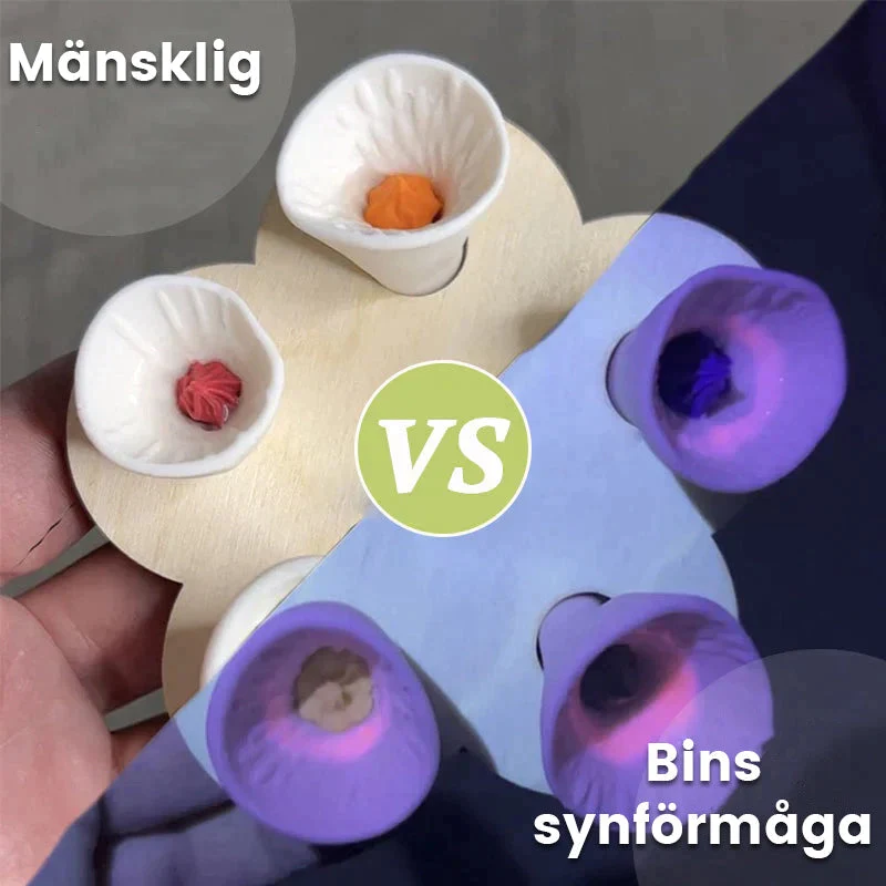 Skanto | Bienen- und Insektentränke