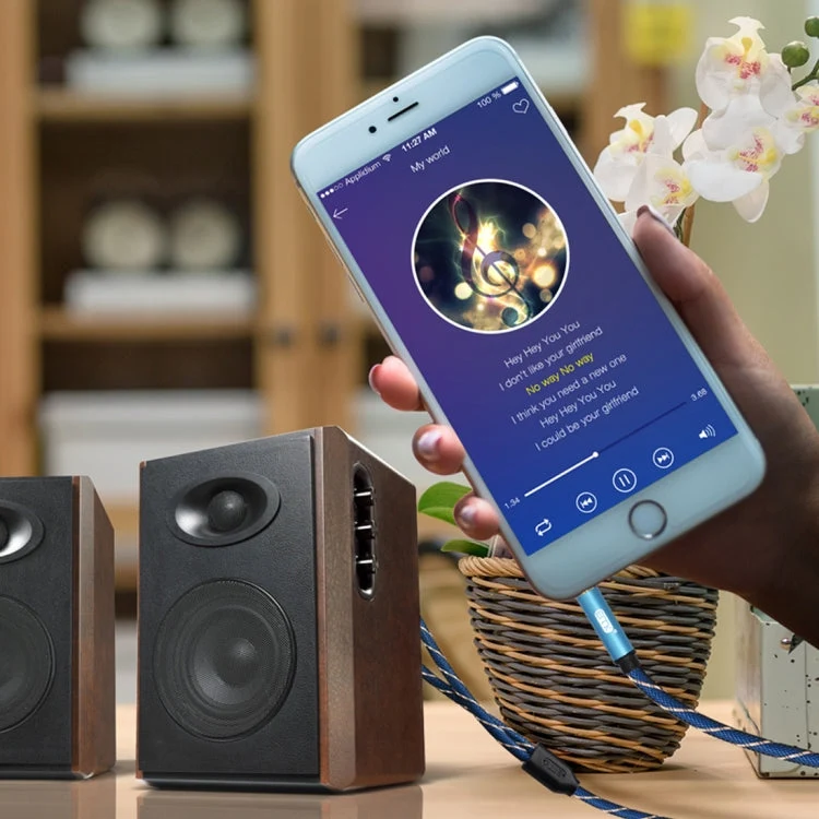 Skanto Skanto | EMK 3,5 mm Klinkenstecker auf 2 x Cinch-Stecker, vergoldete Anschlüsse, Lautsprecher-Audiokabel, Kabellänge: 5 m (Dunkelblau)