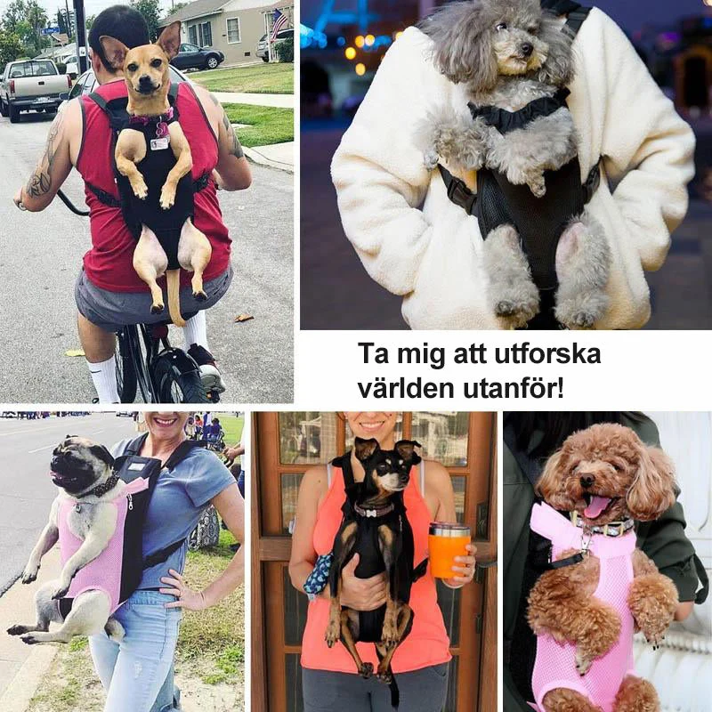 Skanto | Haustiertrage vorne
