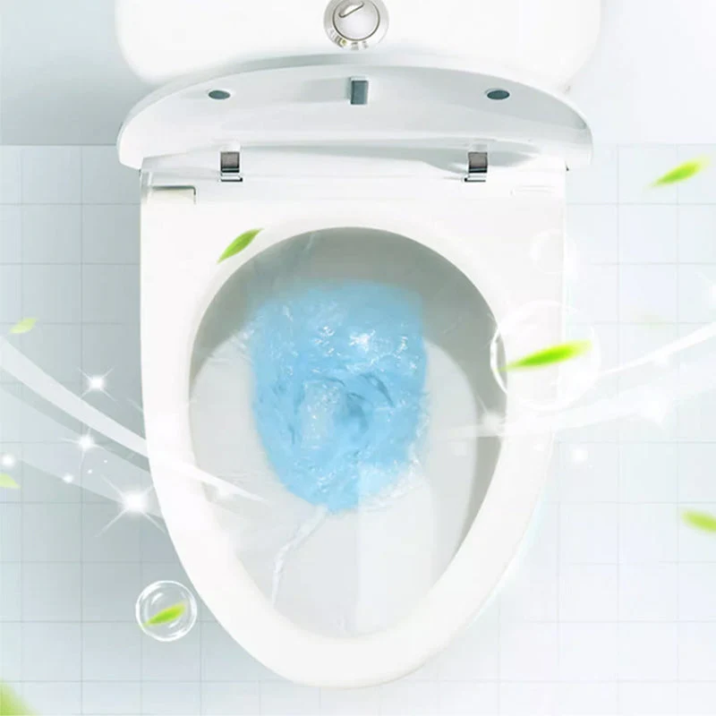 Skanto | Leistungsstarker Toilettenreiniger mit Oxalsäure