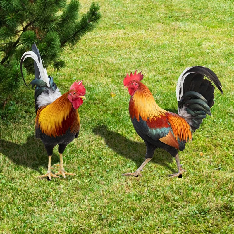 Skanto | Gartenfigur: Gefiederte Schönheit