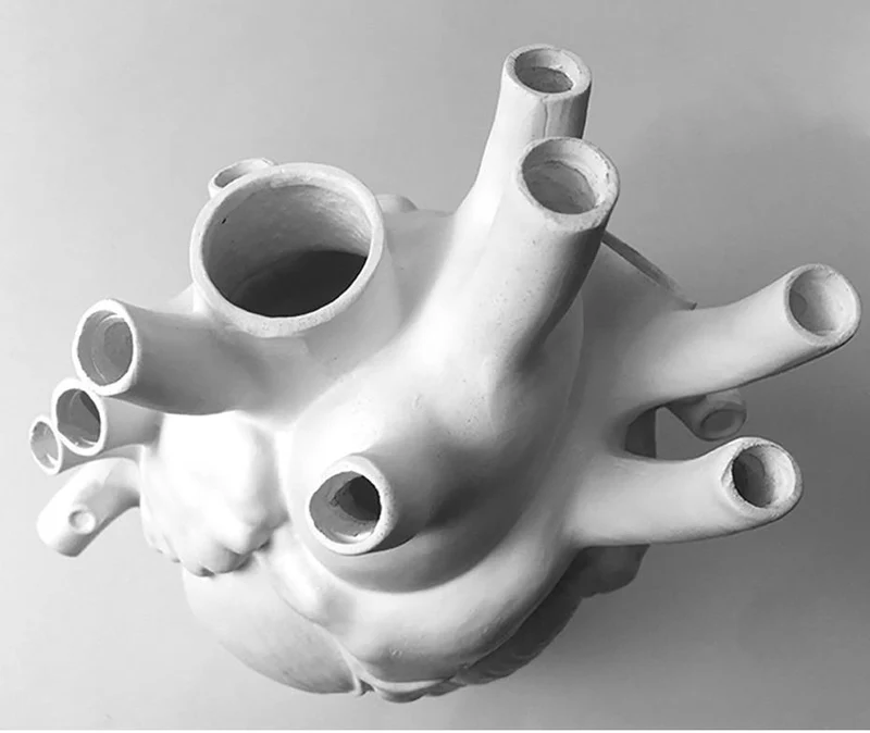 Skanto | Herz-Blumenvase