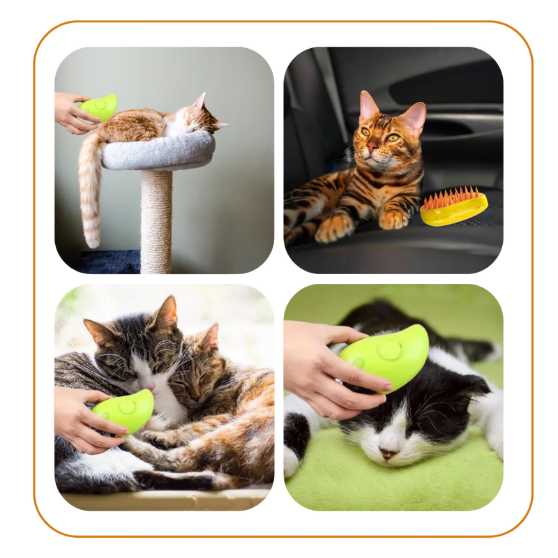 Multifunktionale Katzenbürste