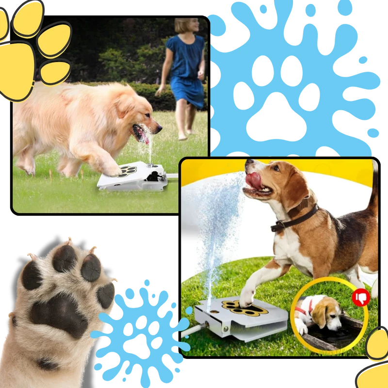 Pfotenaktivierter Trinkbrunnen für Hunde