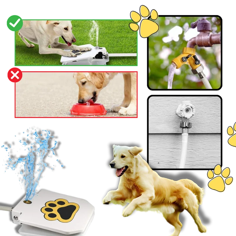 Pfotenaktivierter Trinkbrunnen für Hunde