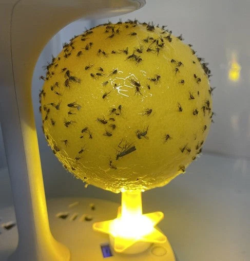 FlyNest™ | LED Fruchtfliegenfalle ohne Chemikalien