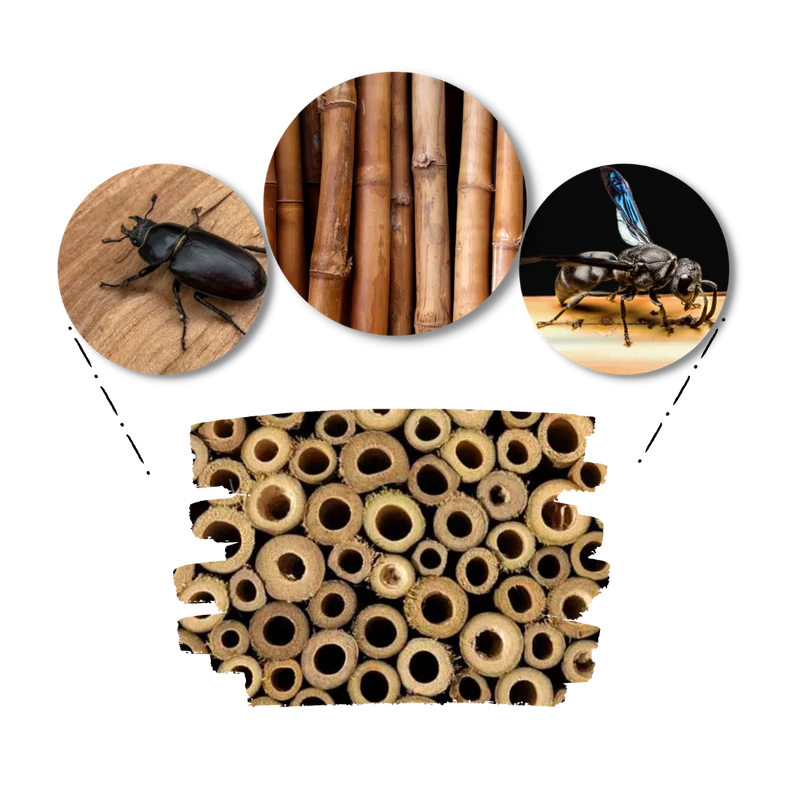 Sechseckiges Bienenhaus aus Holz