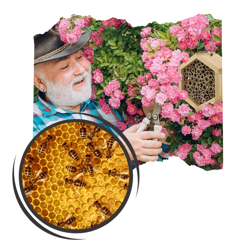 Sechseckiges Bienenhaus aus Holz
