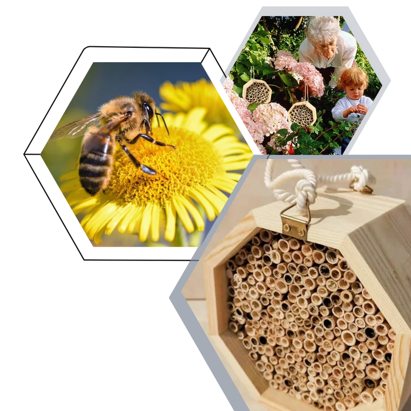 Sechseckiges Bienenhaus aus Holz