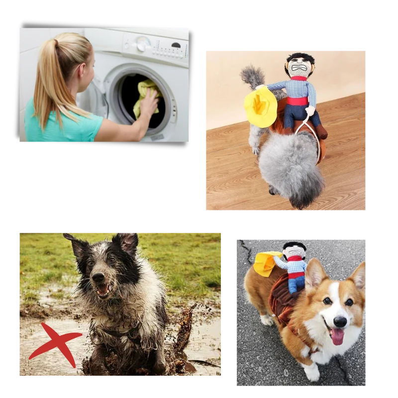 Cowboy-Hundekostüm