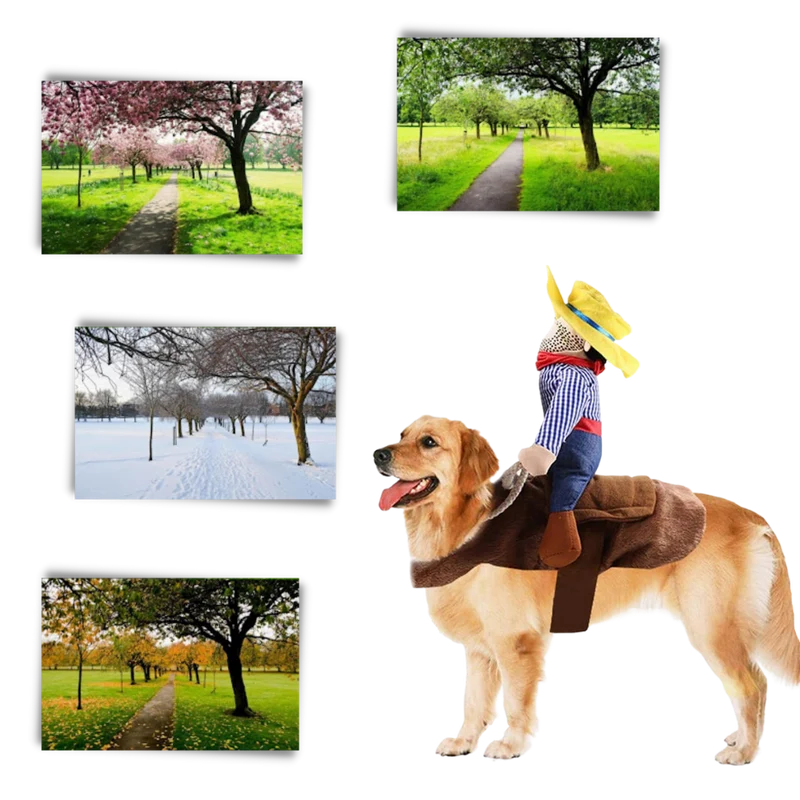 Cowboy-Hundekostüm