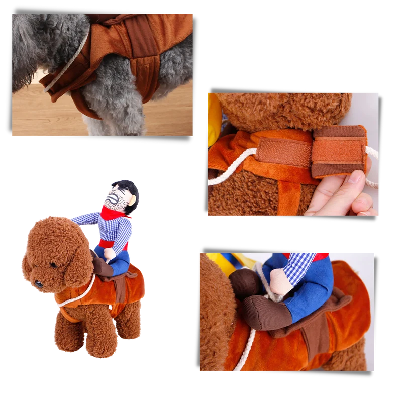 Cowboy-Hundekostüm