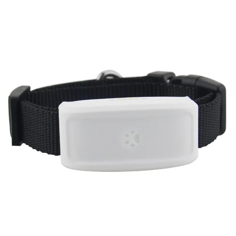 GPS-Halsband für Haustiere