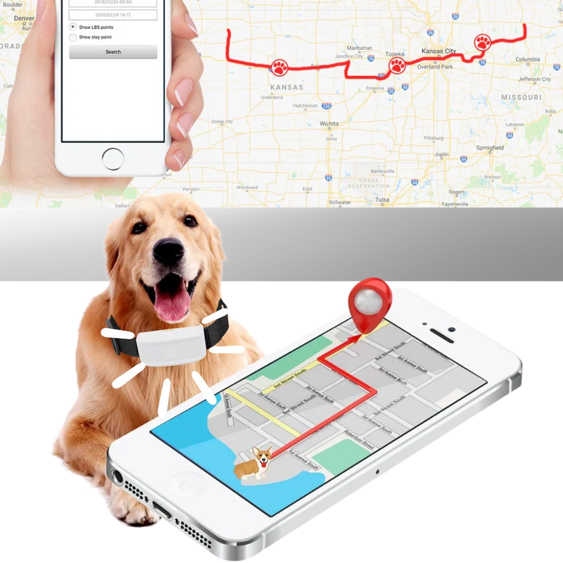GPS-Halsband für Haustiere