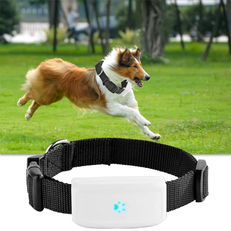 GPS-Halsband für Haustiere