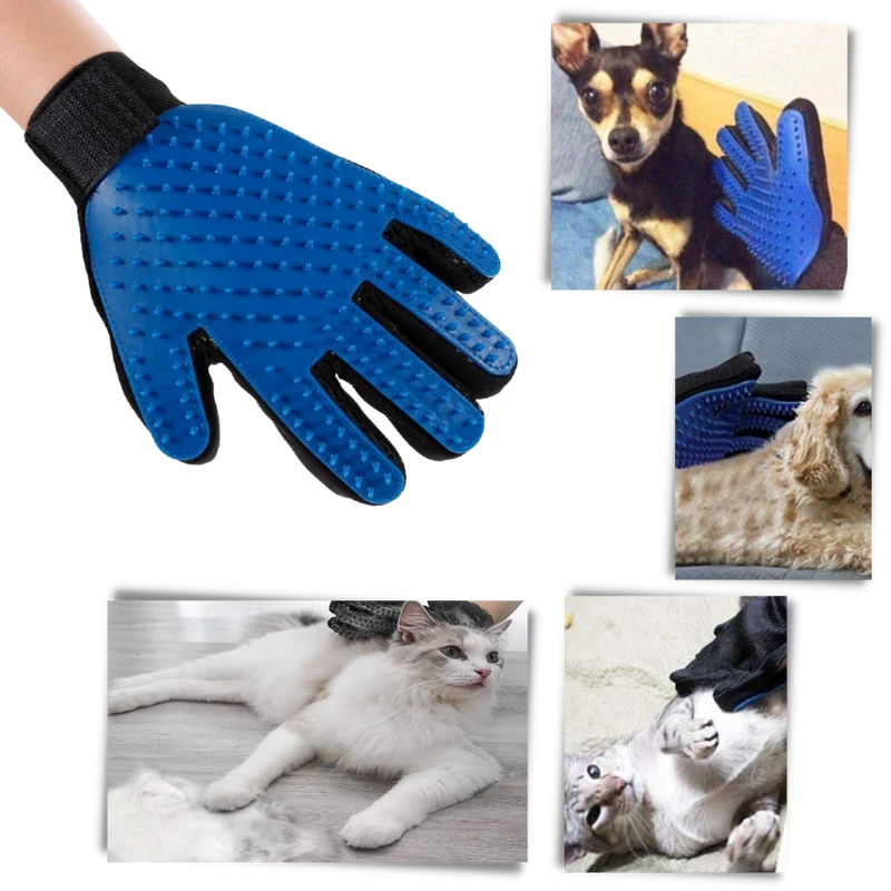 Tierpflegehandschuhe (Paar)