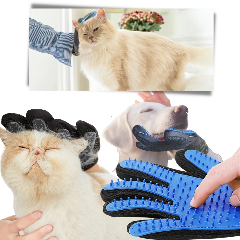 Tierpflegehandschuhe (Paar)