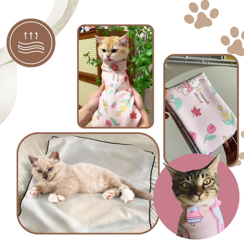 Magische selbstklebende Katzenbandage