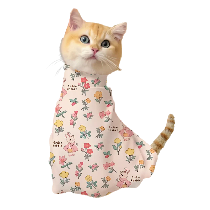 Magische selbstklebende Katzenbandage