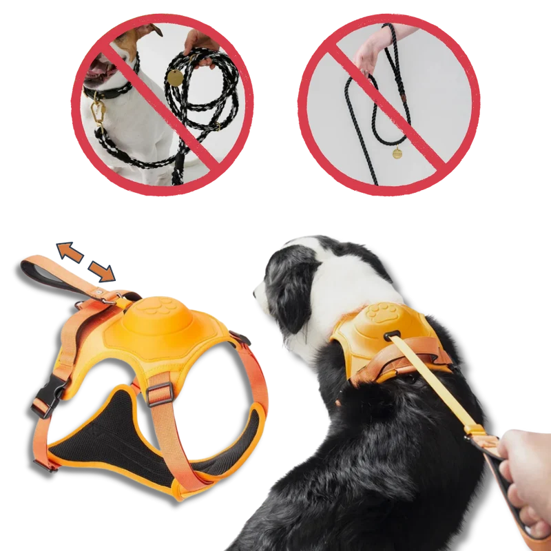Verstellbares und ergonomisches Hundegeschirr- und Leinen-Set