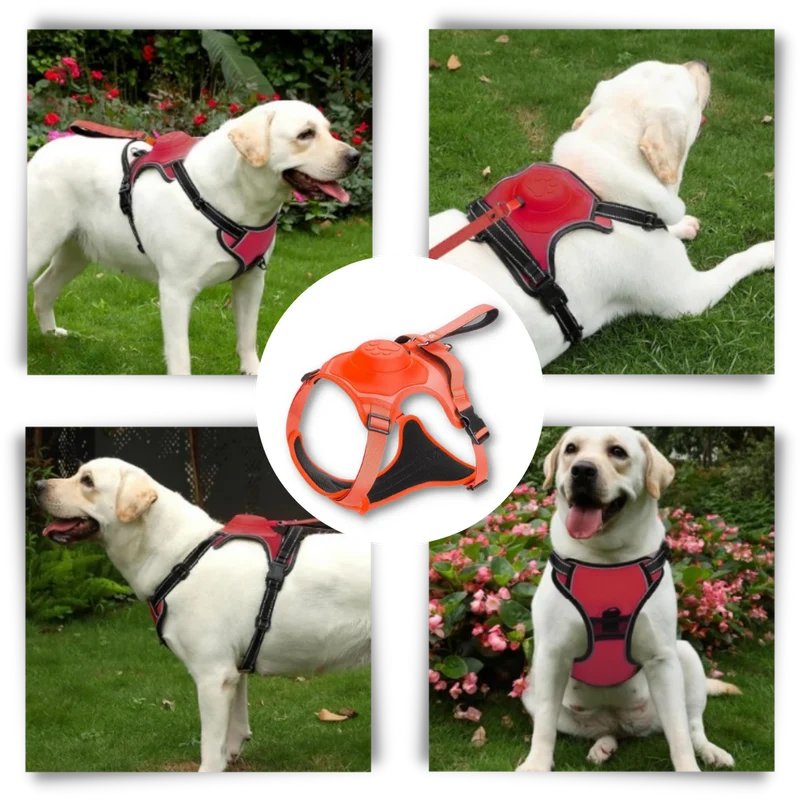 Verstellbares und ergonomisches Hundegeschirr- und Leinen-Set