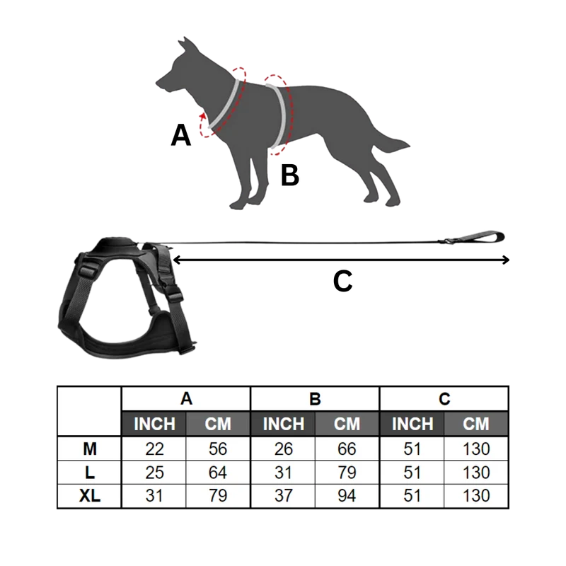 Verstellbares und ergonomisches Hundegeschirr- und Leinen-Set