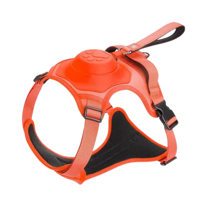 Verstellbares und ergonomisches Hundegeschirr- und Leinen-Set