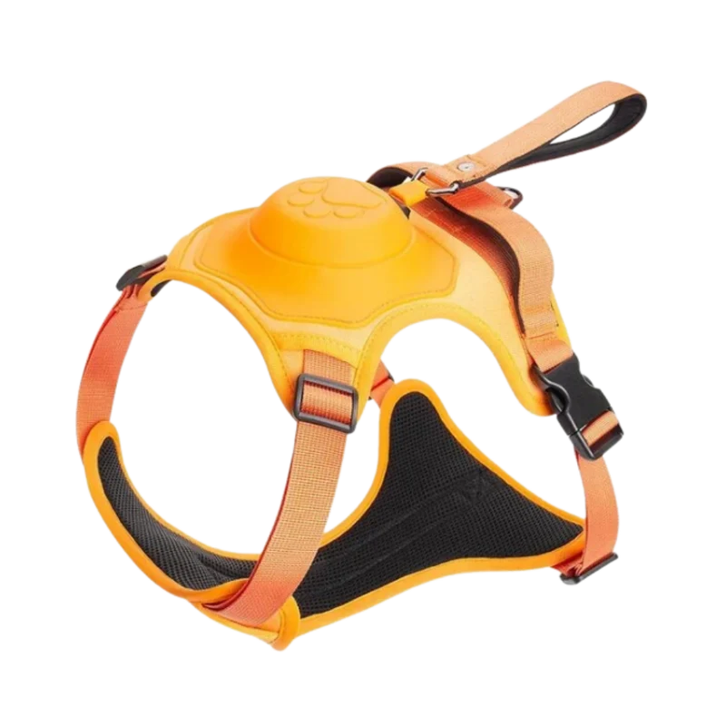 Verstellbares und ergonomisches Hundegeschirr- und Leinen-Set