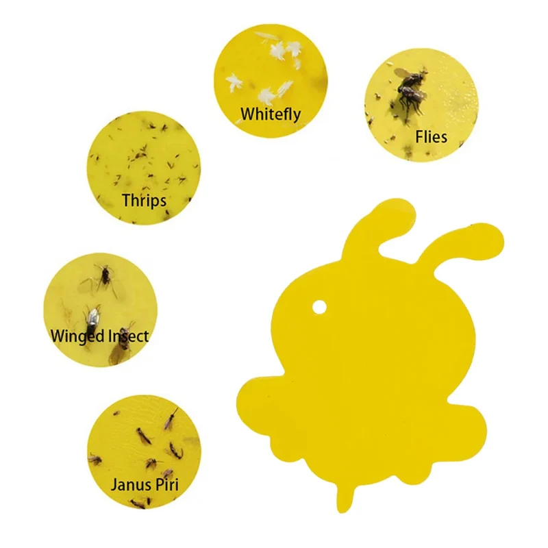 PestiGuard™ | Pflanzenfallen – 59er Set, ungiftig & wetterfest gegen Insekten