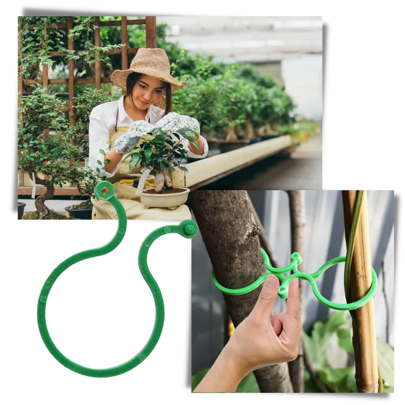 Packung Clips für Gartenpflanzen