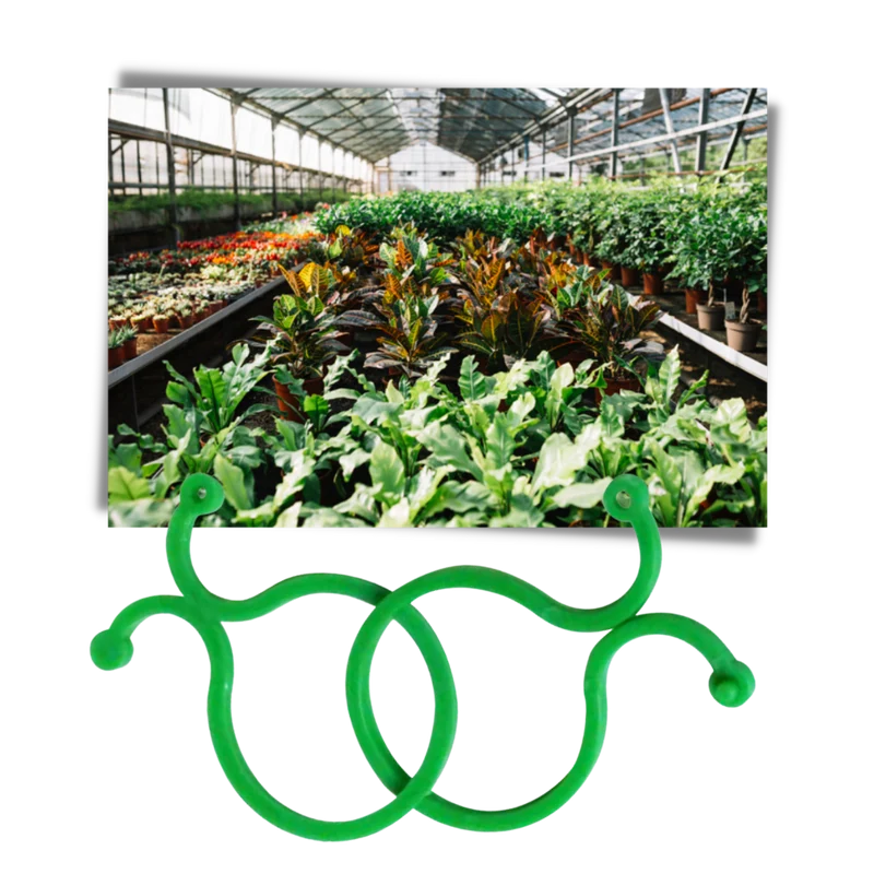 Packung Clips für Gartenpflanzen