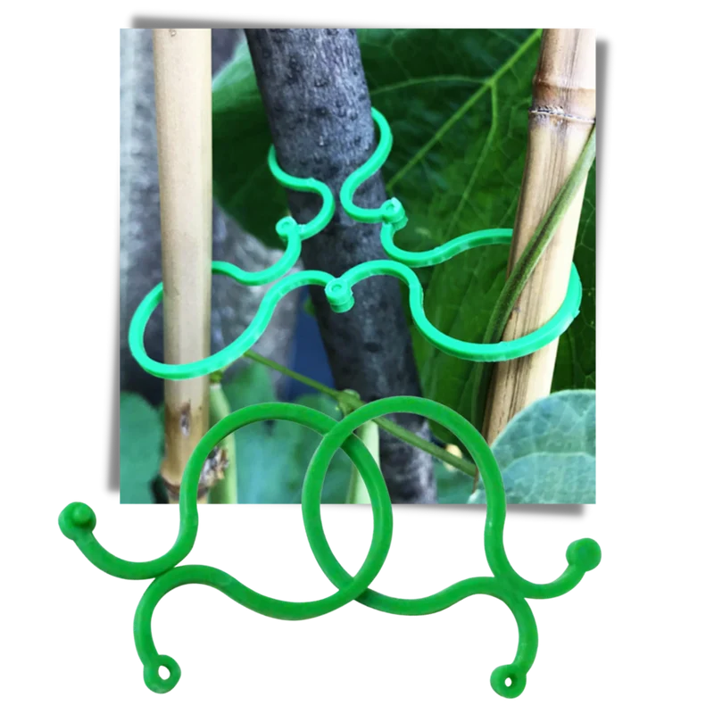 Packung Clips für Gartenpflanzen