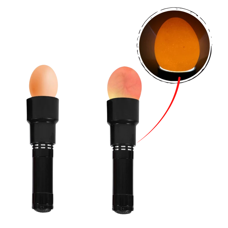 Eierleuchte
