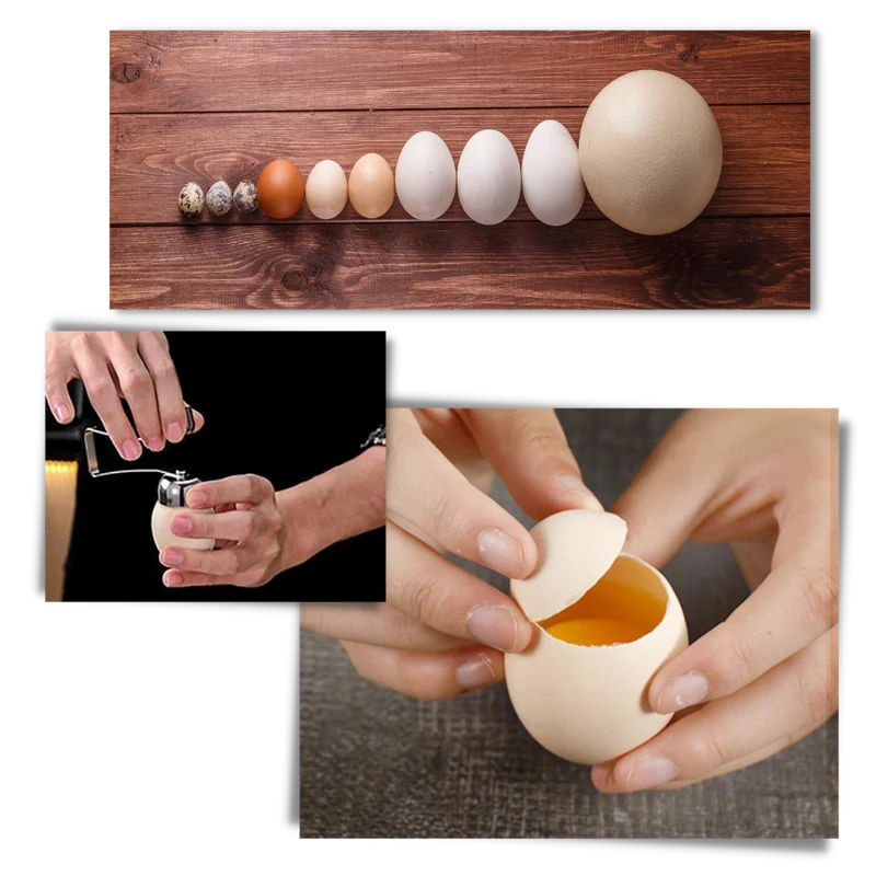 Eierschalenöffner
