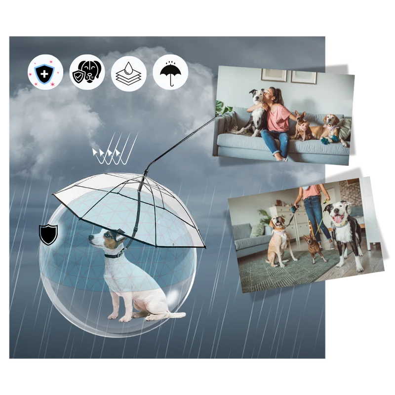 Transparente Hunde-Regenschirmleine
