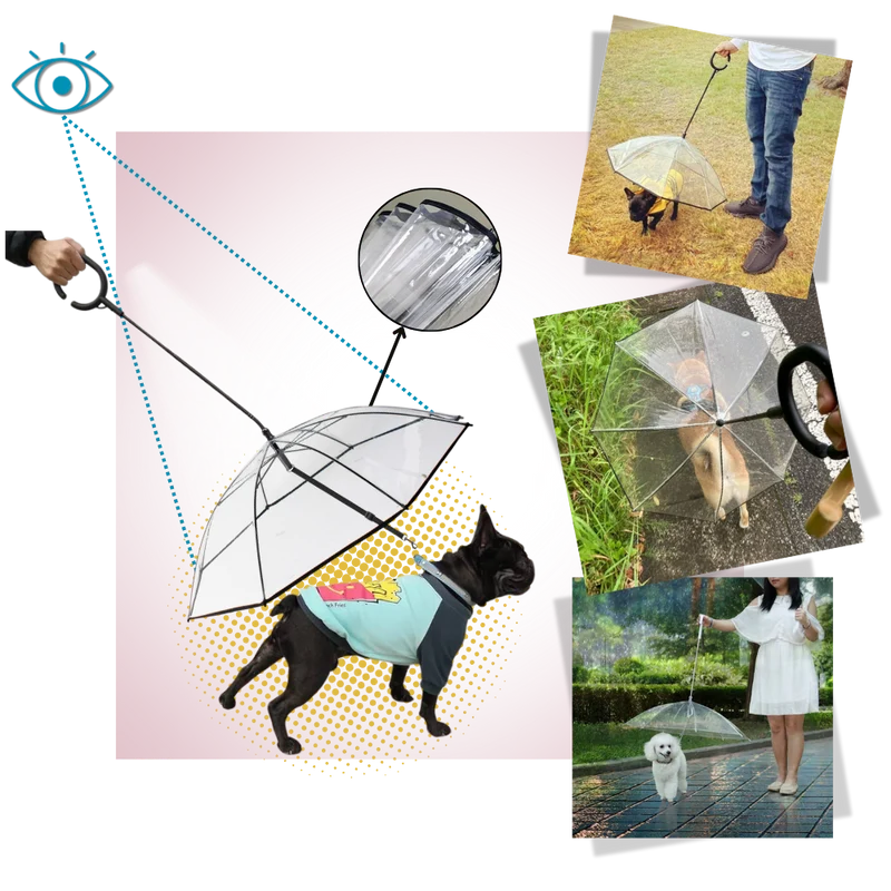 Transparente Hunde-Regenschirmleine