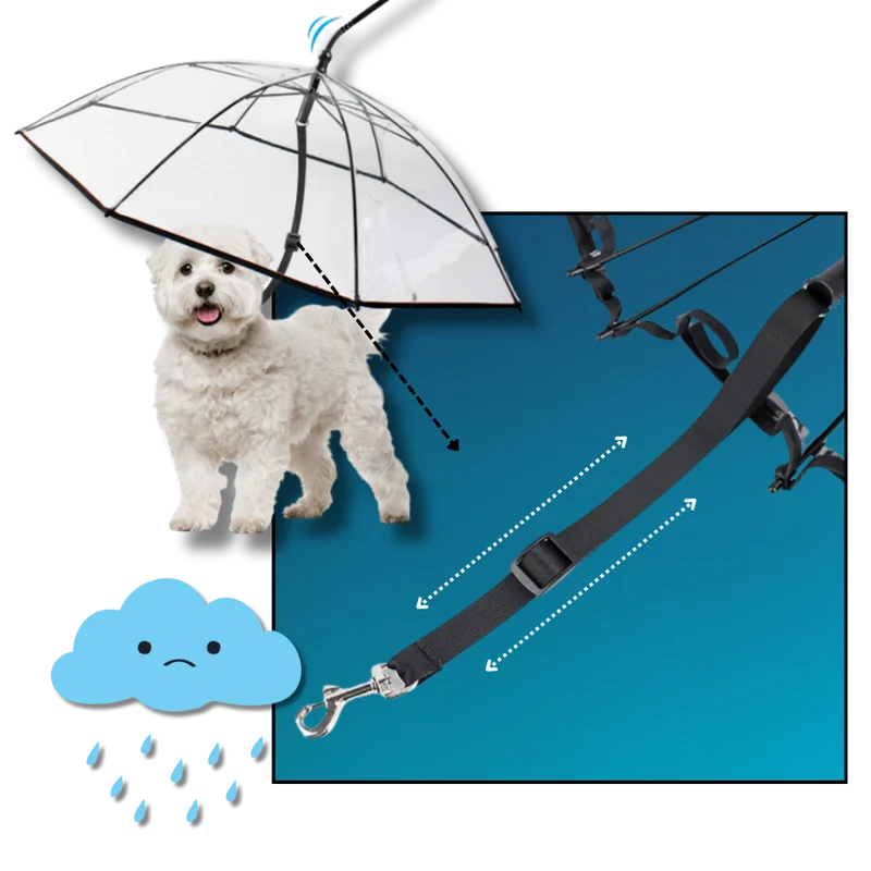Transparente Hunde-Regenschirmleine