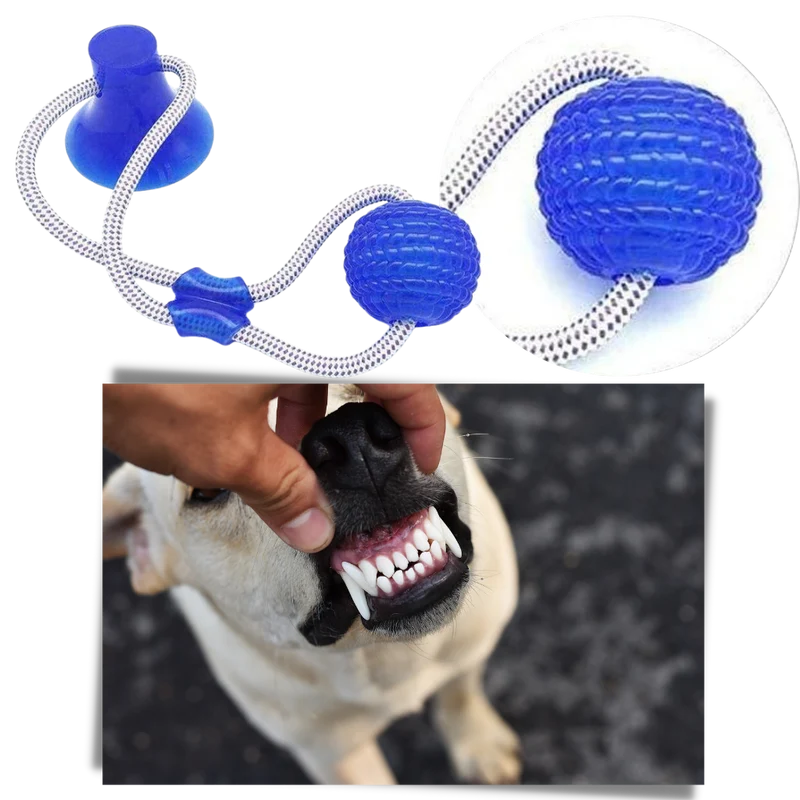 Hundespielball mit Saugnapf