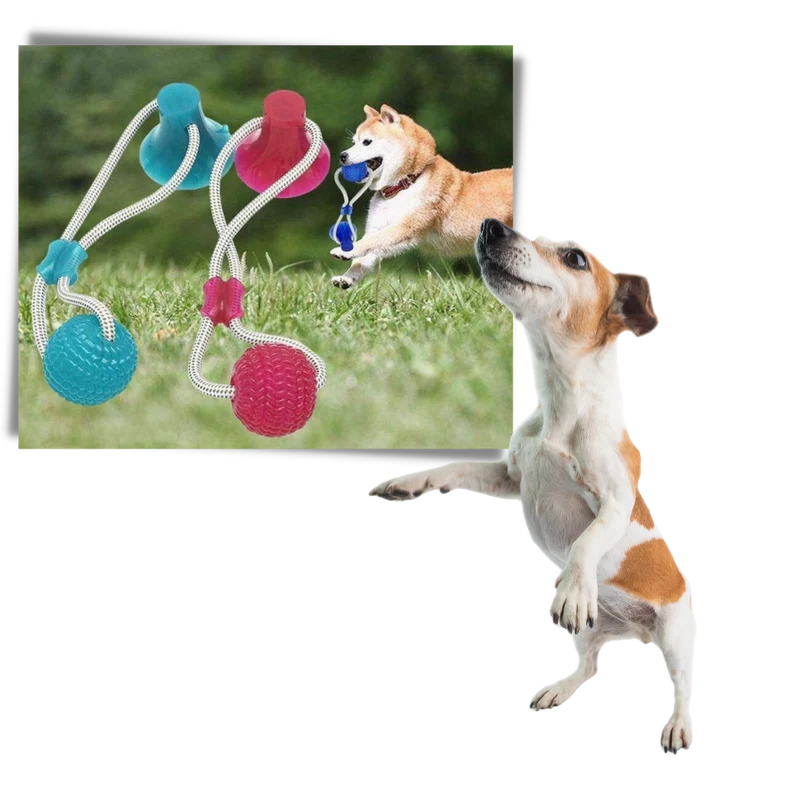Hundespielball mit Saugnapf