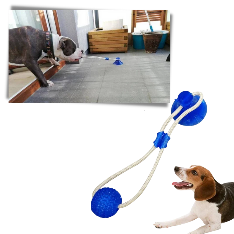 Hundespielball mit Saugnapf