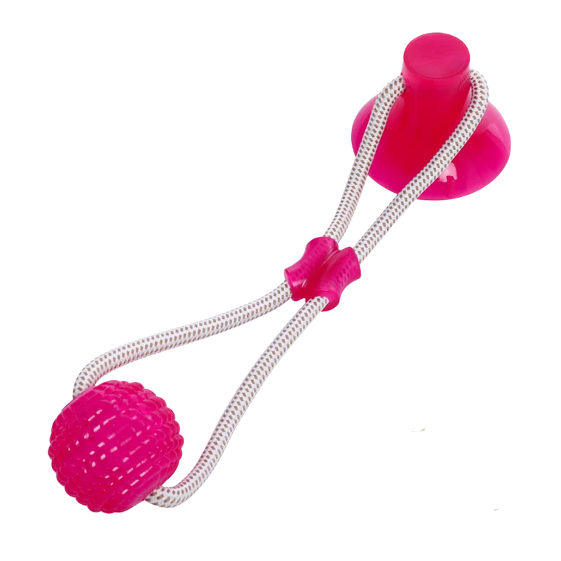 Hundespielball mit Saugnapf