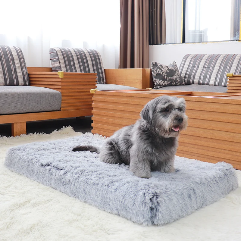 Plüsch Memory Foam Matte Hundebett