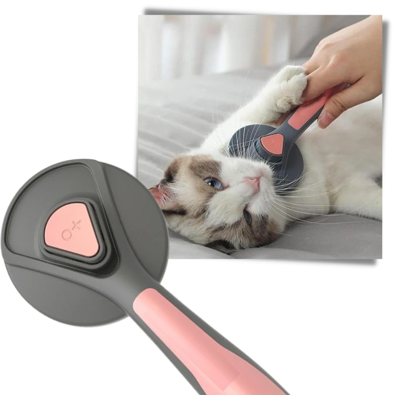 Spezielle Tierbürste