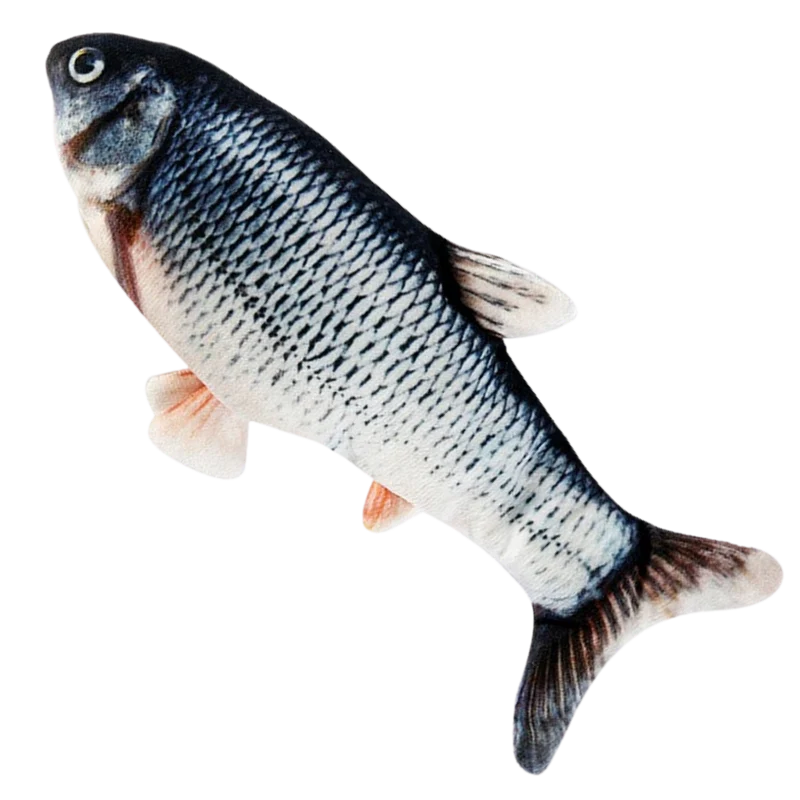 Zappelnder Fisch Katzenspielzeug