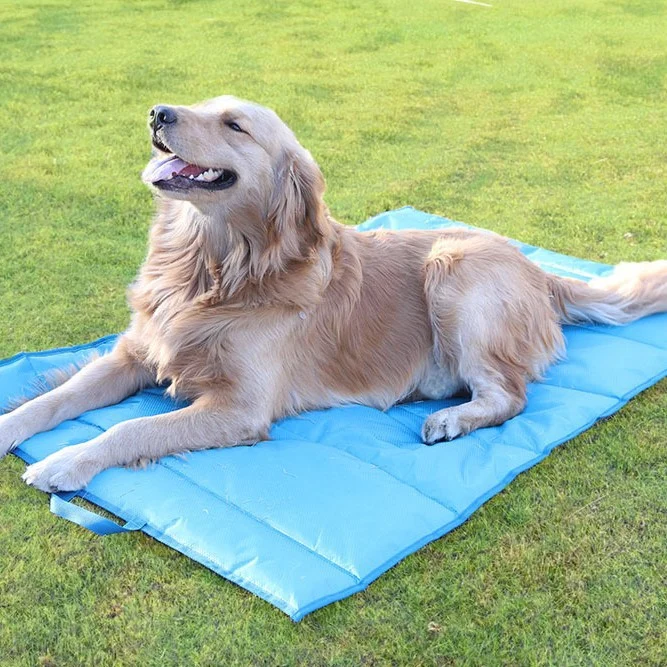 Kühlmatte Hundebett