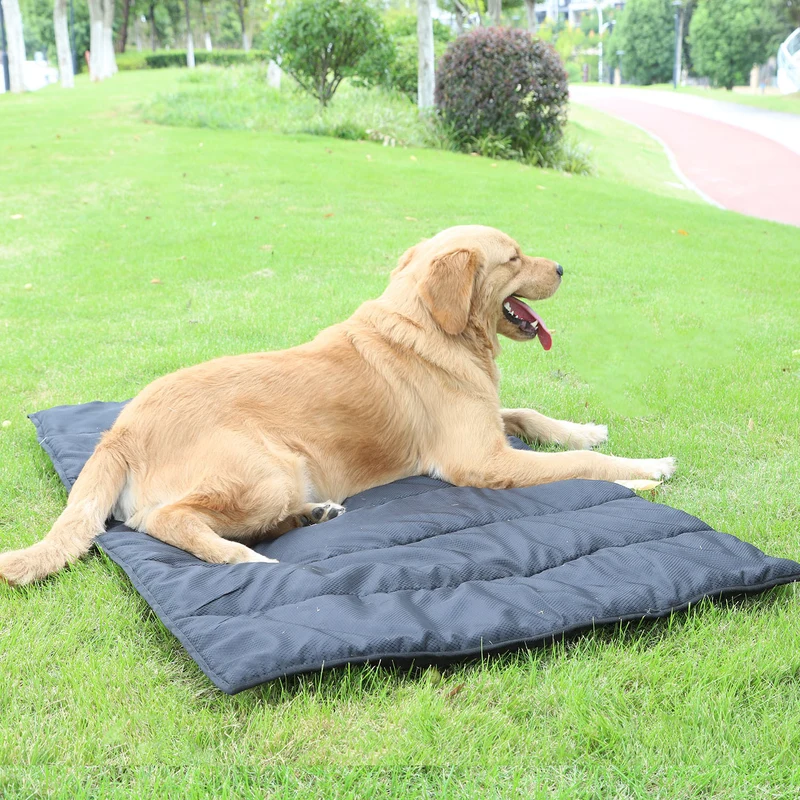 Kühlmatte Hundebett
