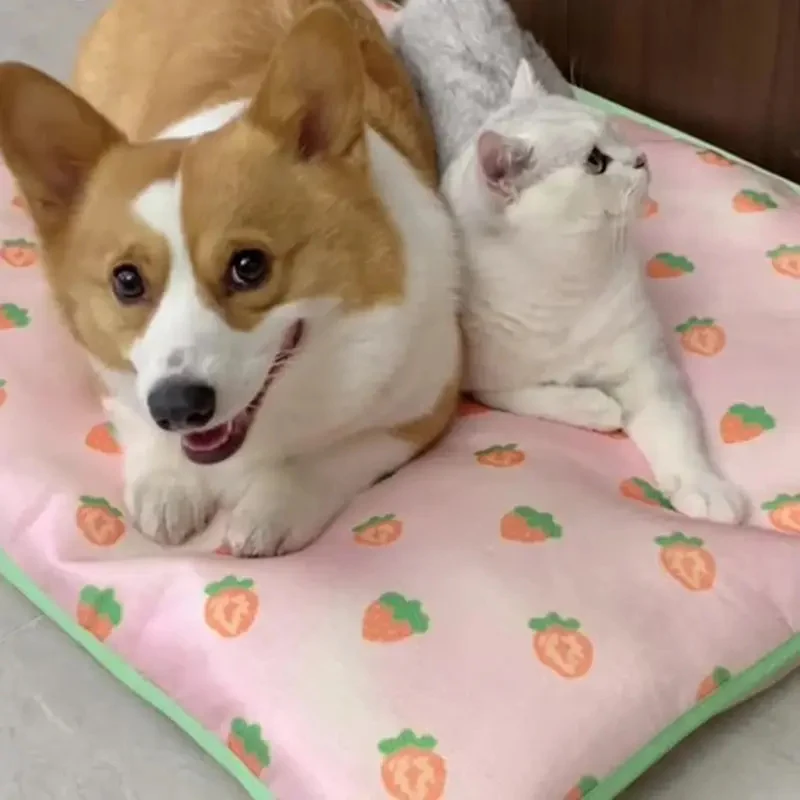 Weiches Plüsch-Rückzugsort-Hundebett