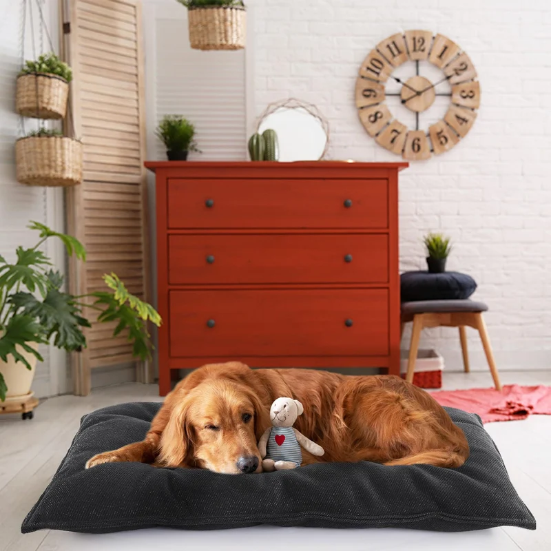 Orthopädisches Ruhekissen Hundebett